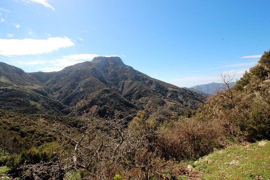 Riserva Naturale Orientata Fiumedinisi e Monte Scuderi